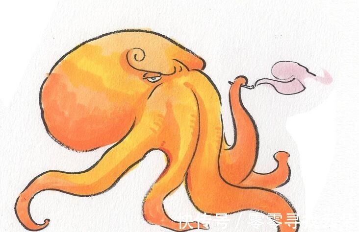 马尔科|抽象画师笔下的海贼王人物,章鱼、大鹅、猫头鹰都是山治