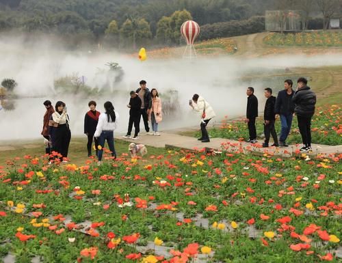 春节7天四川共接待游客超4000万 “就地过年”激发夜游、公园、演艺等新消费热点