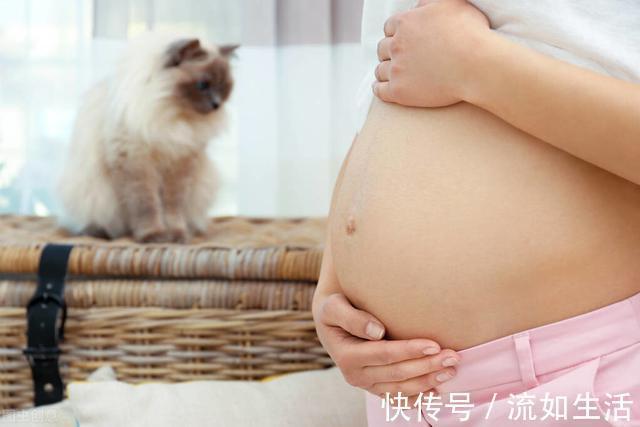 玩手机|玩手机对孕妇危害大这4种行为需警惕,以免导致胎儿发育异常