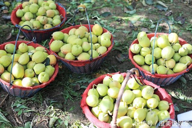 中年|苏州女子探秘南疆巴州:这是一处色彩的世界,超出你的想象