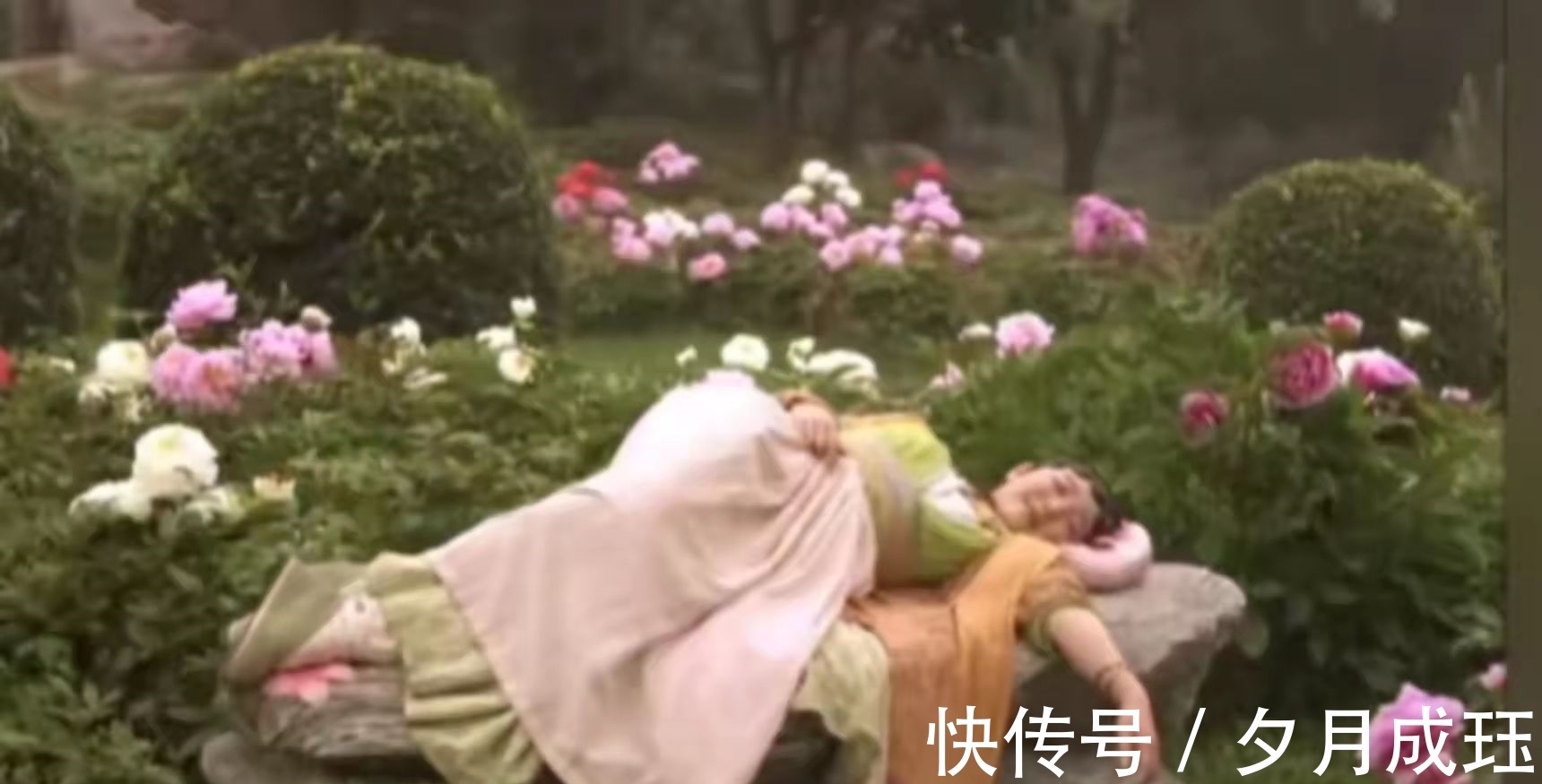 芍药!没有对比就没有伤害,一个简单的睡姿,看两版《红楼梦》的差距