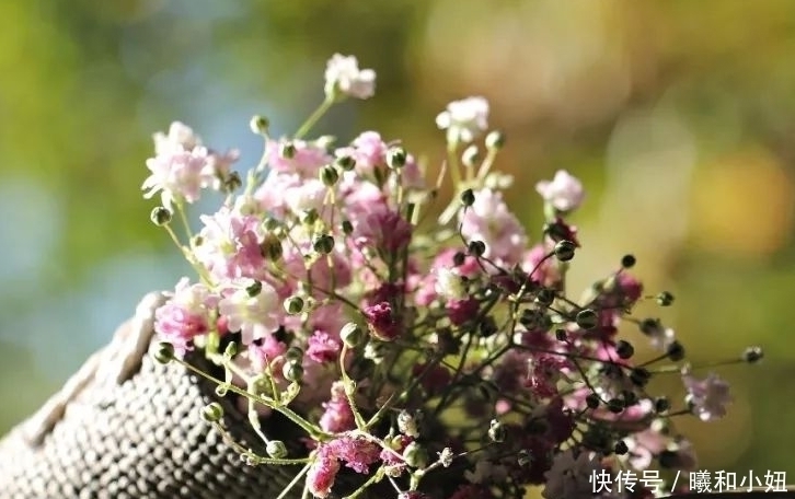 桃花运|六月,4个星座,桃花红艳艳,不缺异性追求,愿与恋人携手共进