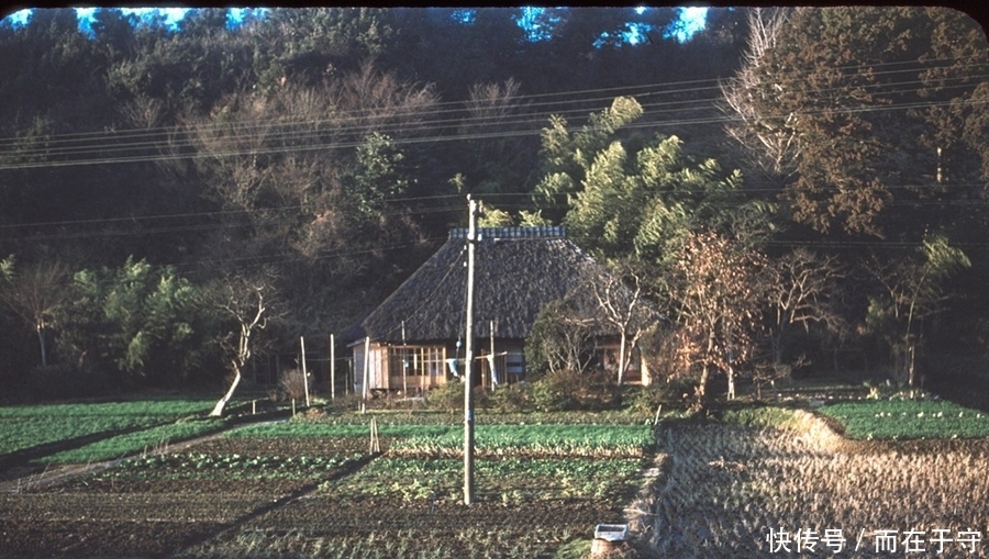 战败|战败后日本社会一览，17张彩色老照片