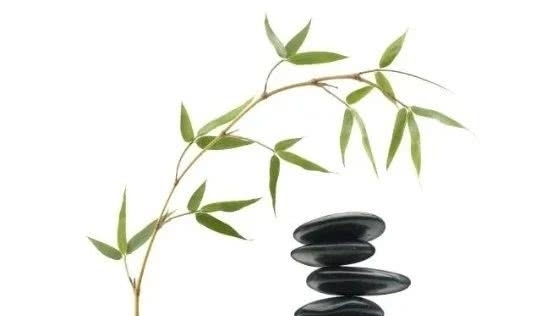 修身养性|曾国藩:修身养性,从这三个“和谐”开始,能做到的人不多