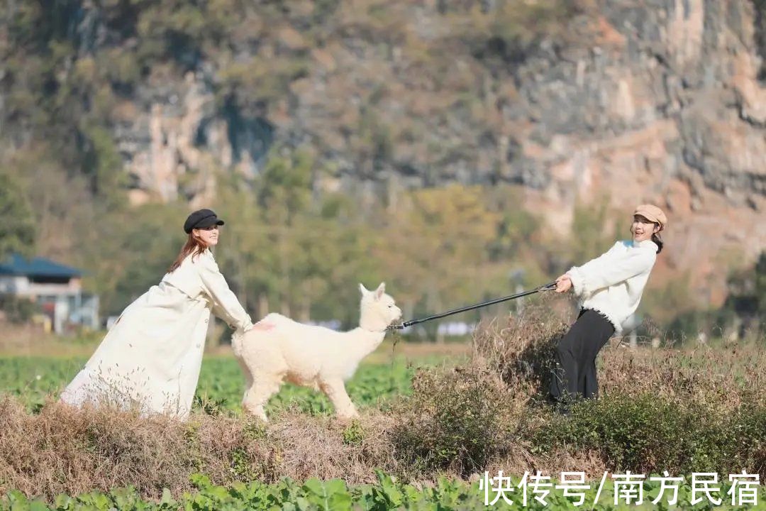 旅宿|隐匿在阳朔20元人民币中风景里的网红民宿，人在画中游丨芒果旅宿