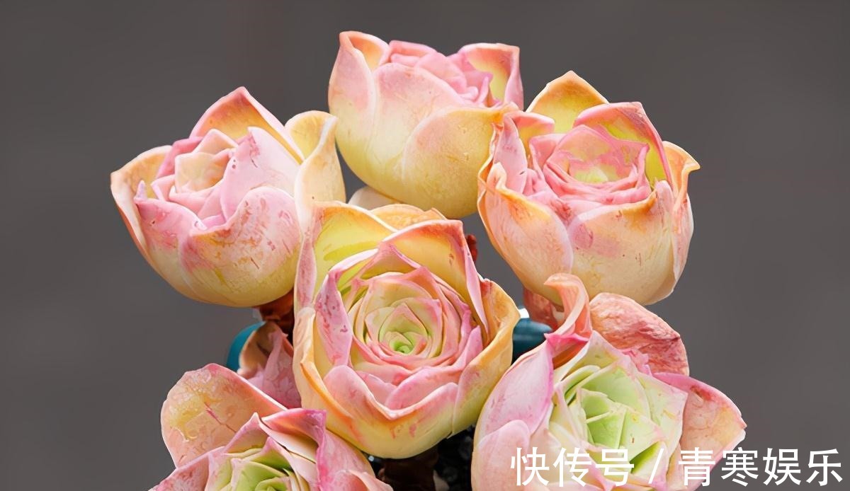 张大哥养肉10多年,总结出4个“耐热品种”,肉迷都喜欢