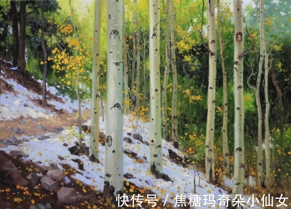 美国肖像协会!白桦林之美