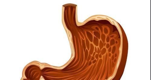 这6种食物,堪称天然'养胃高手',胃不舒服的人,每天都要吃一口