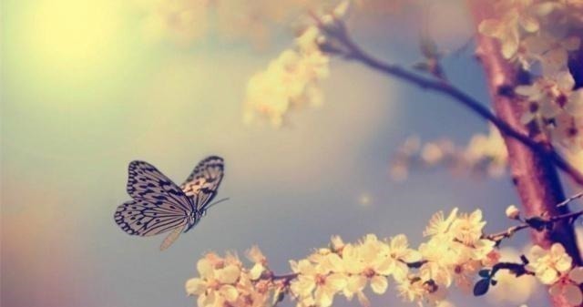 南乡子·为亡妇题照@男人放不下有多苦纳兰性德一首纯美词,7个字道尽一生深情不悔