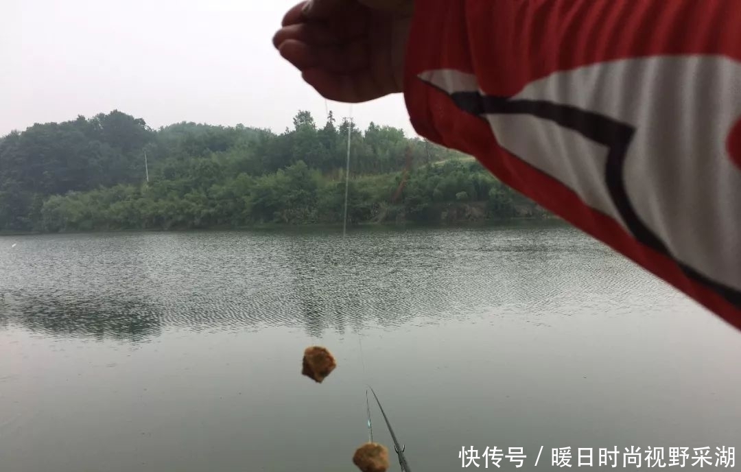 文章|钓草鱼是玉米好还是商品饵好?这篇文章告诉你草鱼饵该怎么选