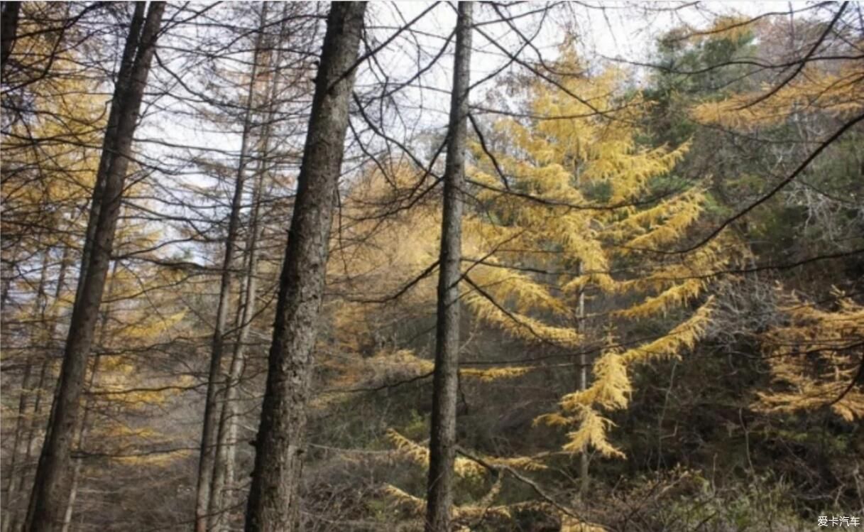 秦岭秋色自驾探岳带你前往