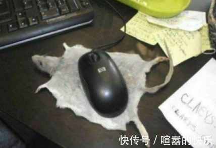 |幽默笑话:“看清楚喔!等会儿出来,别说我偷了你们的猴子!”……