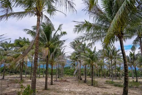 海南最美海滨公路，冲浪者的天堂，媲美马尔代夫的度假胜地