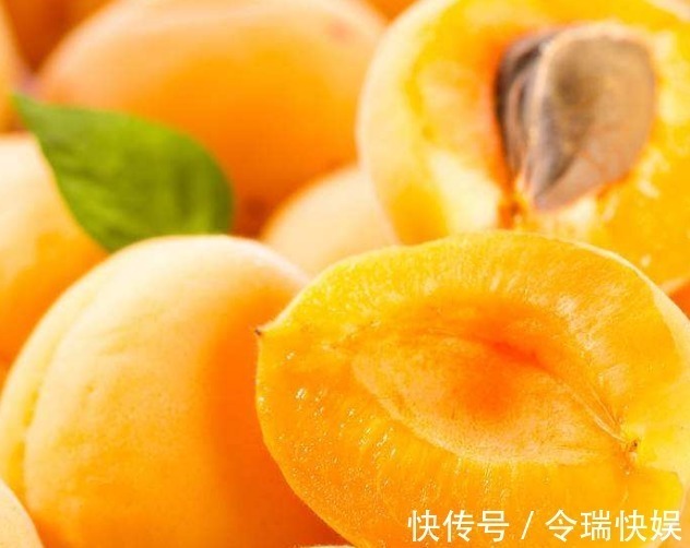高产|新手种植！杏子清热解毒、营养丰富，掌握关键之处让其优质又高产
