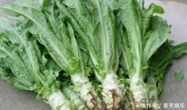 除蒲公英之外,这四种野菜也是抗癌良药,堪称女性“天然补品”