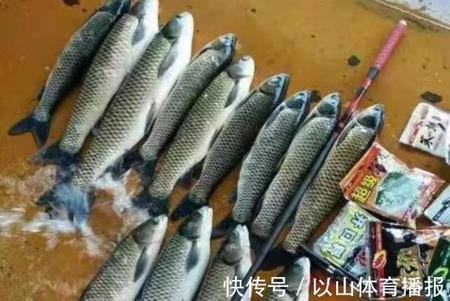 配方|怪不得草鱼再大也得乖乖上钩，原来这饵才是连竿的核心秘诀