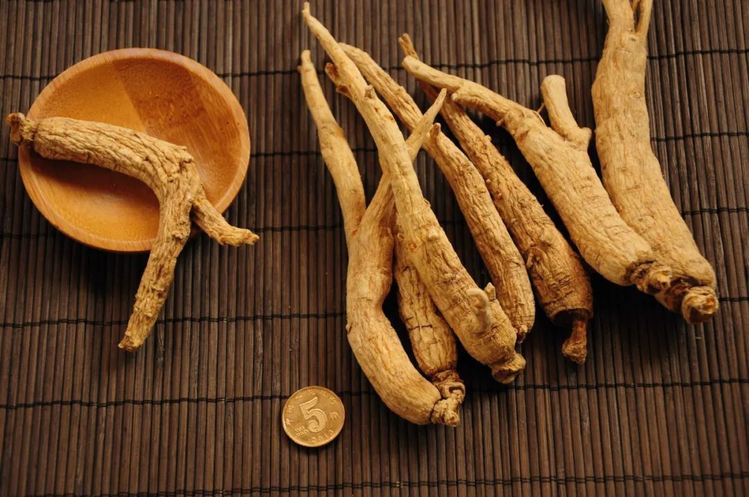 西洋参|人参、党参、西洋参,“它们仨”的药性功效,究竟有哪些异同?