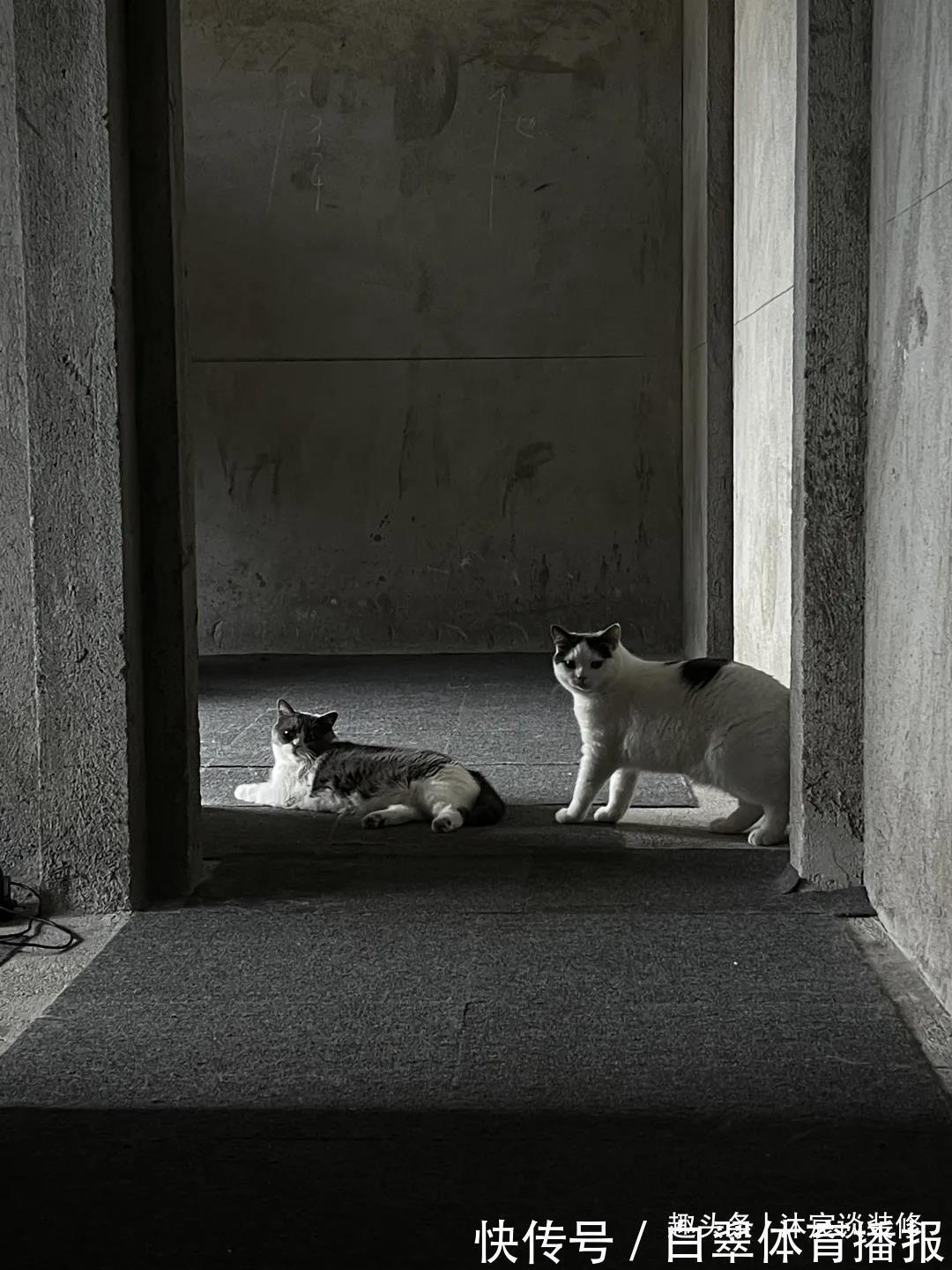 扫地机器人|没钱装修，直接住进毛坯房里，这对夫妻的“原始生活”却意外走红