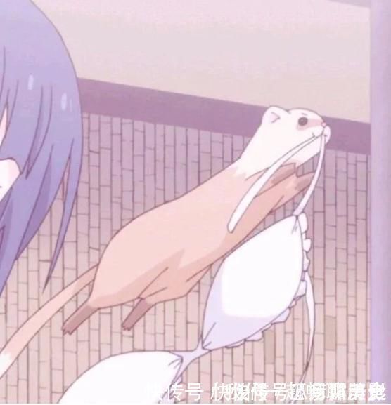 所思|动漫·甜系·情侣头像我喜欢你,穷其所思,可赴千里