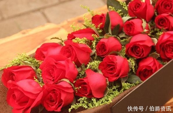 花友|喜欢菊花,不如养盆“精品玫瑰”卡罗拉,红艳似火,高雅美艳