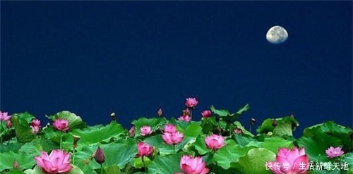 家长联名要求删除 荷塘月色 只因朱自清用了这8个字 有理吗 快资讯