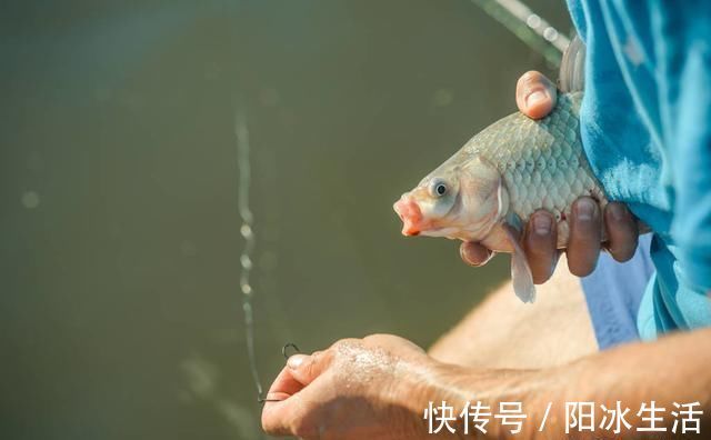 饵料|怪不得老钓友比你钓得多,人家提早都做好了这些准备