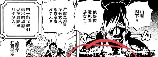 乔巴|海贼王981话:尾田公然开车,连兔子都不放过,娜美罕见正经一回