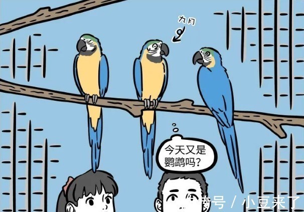 我是谁|非人哉:九月在动物园工作太久,最终迷失自我,亲哥都认不出来!