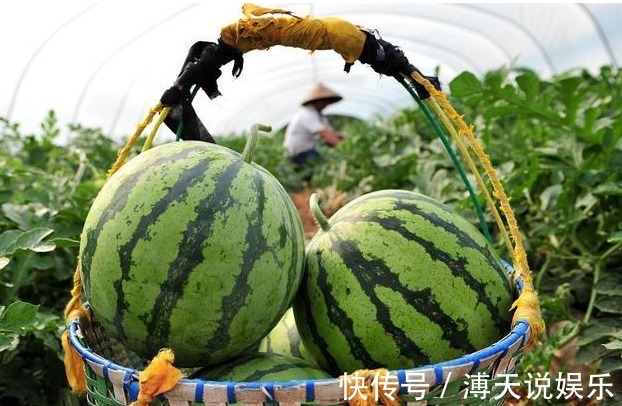 睡眠质量|气血足的女人老得慢!四物堪称气血“恩人”,敞开吃,气血更顺畅