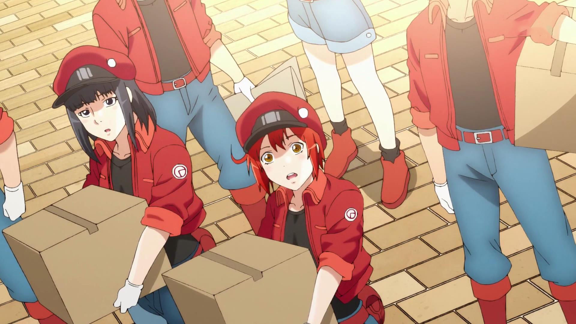 两种画风，双份可爱，《工作细胞》中的血小板你更喜欢哪一位？