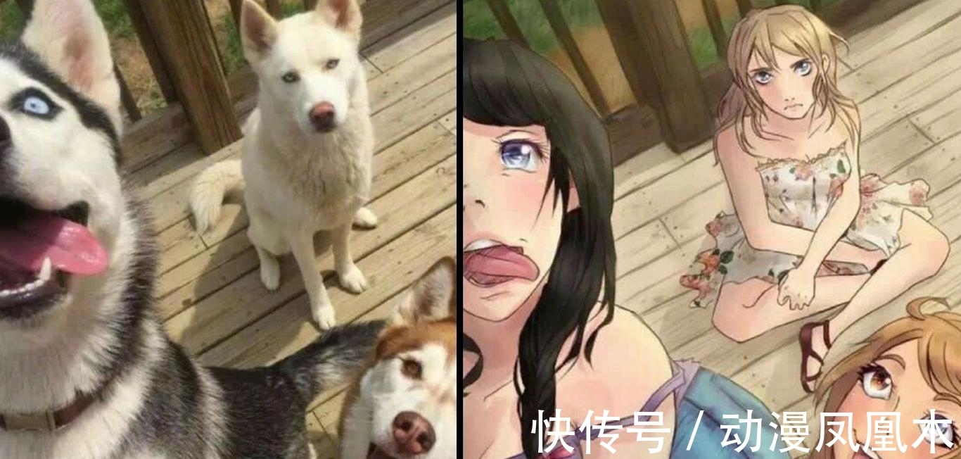二次元化|当动物被画师二次元化,可盐可甜可帅气,还是纸片人更让人心动