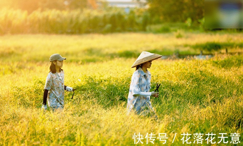 宋丹丹|《向往4》官宣了,请到观众心念念的收官嘉宾,节目组没让人失望