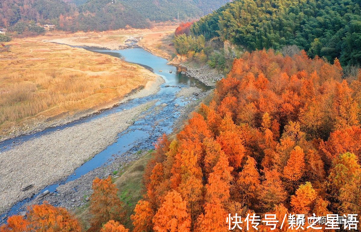 尽头|最佳红杉林游访线路，全程六站，线路仅供收藏