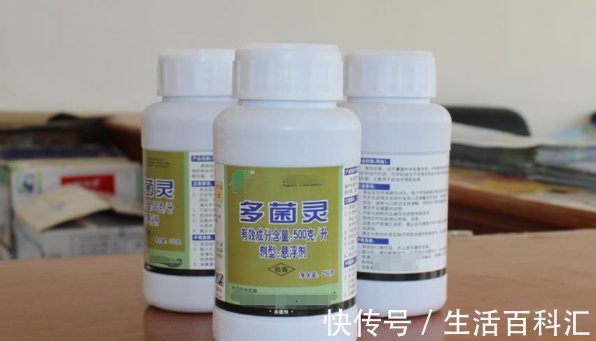 多菌灵|养花出现霉菌的原因以及处理方法