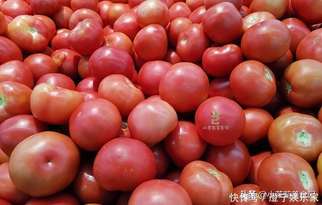 西红柿|买西红柿,挑圆的还是尖的?菜农:“这3种”可别买,都是催熟的