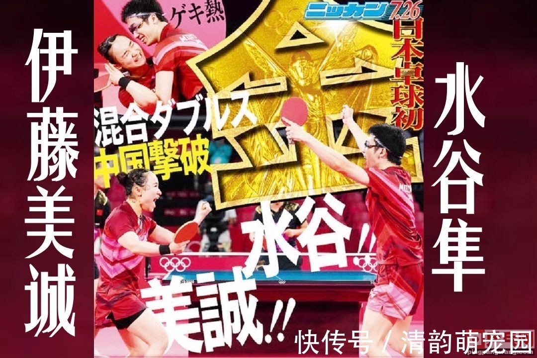 水谷隼|刘诗雯许昕“打了个盹”,伊藤美诚水谷隼成为日本民调宠儿
