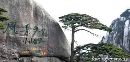 全国唯一|中国最珍贵的三棵树，其中一棵配有警卫和专家，比大熊猫还珍贵