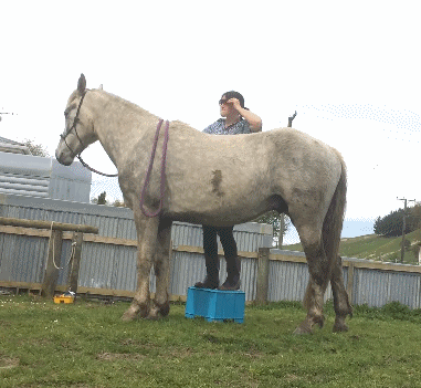 |搞笑GIF:保安很好笑吗?我最鄙视的就是你这种不捐款还在那里哈哈大笑的人