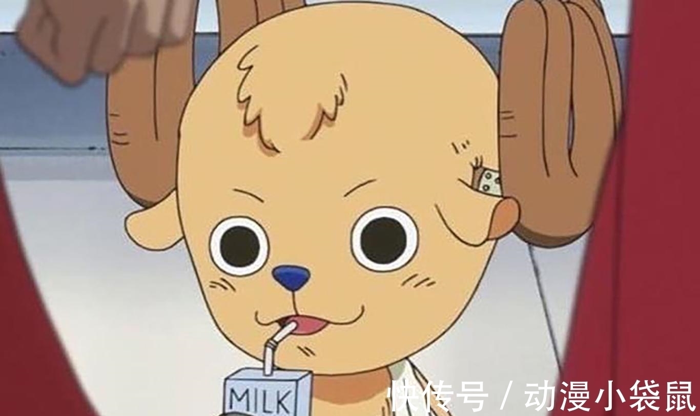 乔巴|《海贼王》草帽团被全员剃光头,娜美不再女神,布鲁克毫无违和感