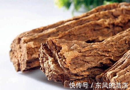 肾脏|补肾食物“排行榜”,韭菜第五,牛鞭第二,第一是“它”!