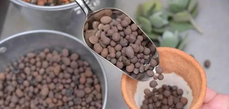 养花换盆时，多“加”1物，花卉“10年”不烂根，叶子绿，开花多