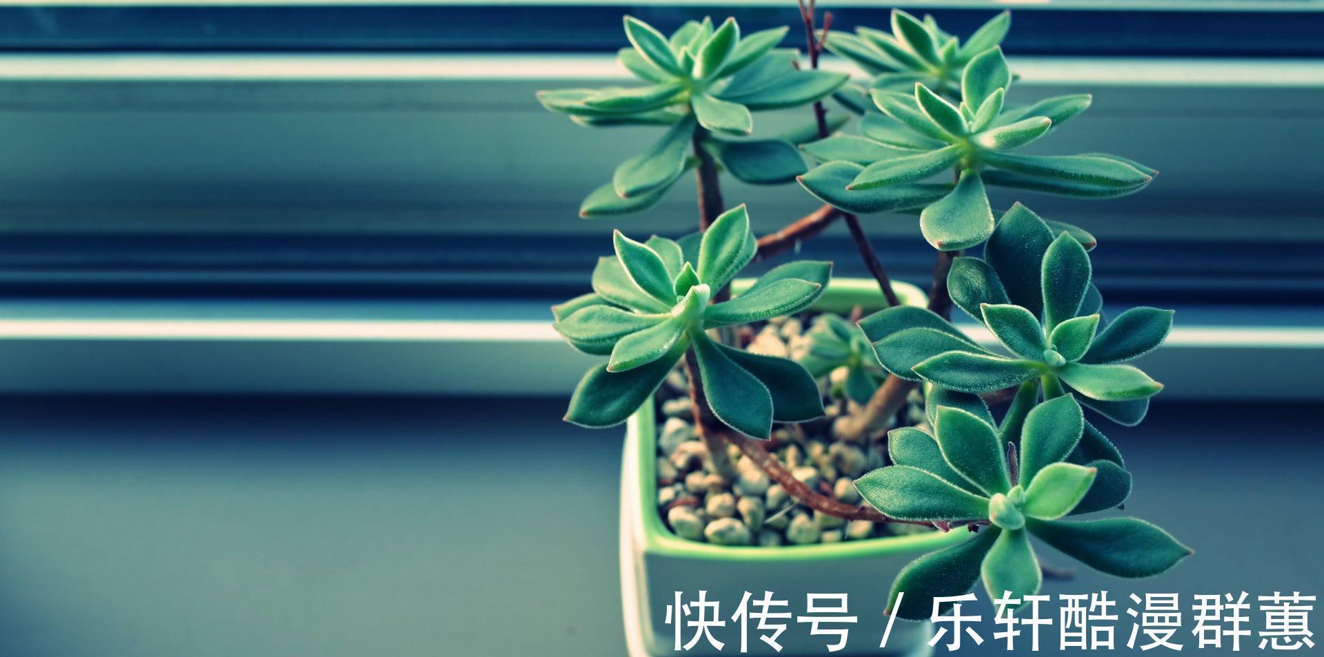 个性|这三个星座个性十足,这世界上那么多条条框框,他们不必格格都入