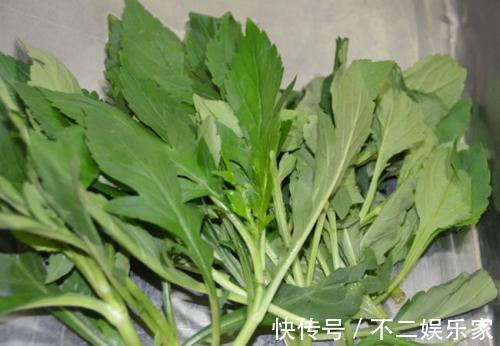 维他命|适合老年养生的3种食物,强健大脑延缓衰老,预防老年痴呆!