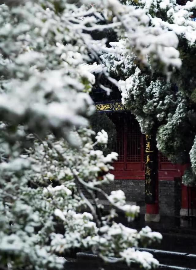 春雪漫卷，蓬莱阁的美藏不住了！