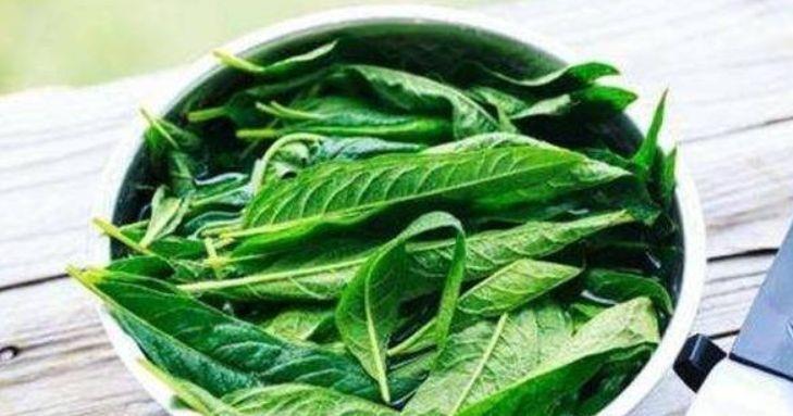 抗衰老|女人不想老太快,不妨常吃3种食物,美容瘦身,调理肠胃,抗衰老