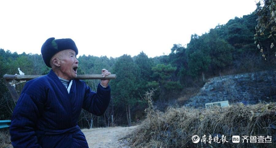 沂南县三角山上，85岁的山林守护者|拾光| 朱大爷