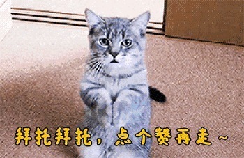 老话“不怕贼偷，就怕贼惦记，后半句才是精华，读后长见识了！