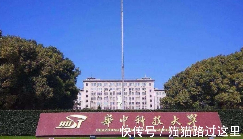 天才少年|俄罗斯00后“天才情侣”加入华为,高颜值高智商情侣,网友慕了