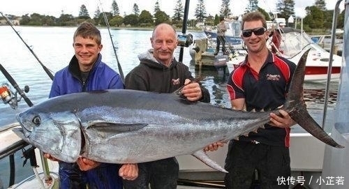  就要|“吃不起”的5种海鲜,第2种吃上一口,可能就要倾家荡产了