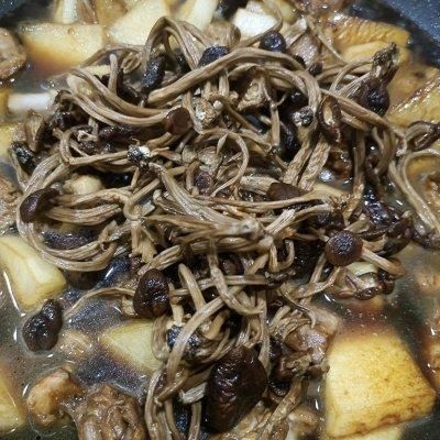 萝卜闷鸭|连汤汁都下饭的萝卜闷鸭这样做，秒变米饭杀手